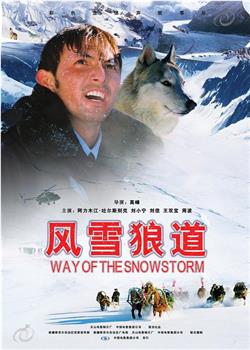 风雪狼道在线观看和下载