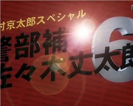 警部补·佐佐木丈太郎6在线观看和下载