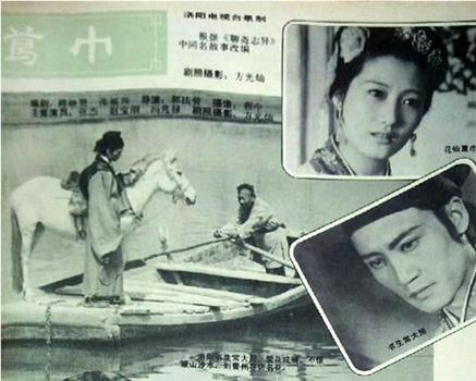葛巾在线观看和下载