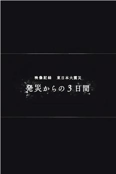 映像记录 东日本大地震  灾害发生后的三天在线观看和下载