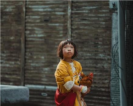殺雞在线观看和下载