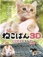 小猫跳出来3D在线观看和下载