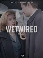 The X Files - Season 3, Episode 23: Wetwired在线观看和下载