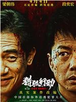 猎狐·行动在线观看和下载