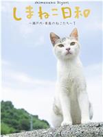 俺是猫，欢迎来俺家玩在线观看和下载