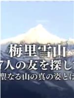 梅里雪山：寻找17位友人在线观看和下载