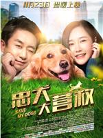 忠犬大营救在线观看和下载