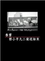 凤凰大视野：春雷——邓小平九二南巡始末在线观看和下载