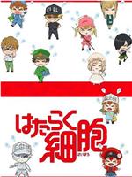 工作细胞 SP在线观看和下载