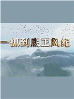 一抓到底正风纪——秦岭违建整治始末在线观看和下载