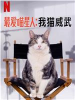 最爱喵星人：我猫威武在线观看和下载