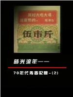 凤凰大视野之时光流年：70年代青春记忆在线观看和下载