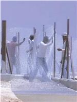 Proyect Gvul在线观看和下载