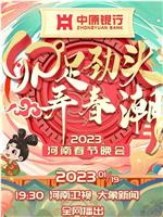 河南卫视2023年春晚在线观看和下载