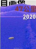 自画像：47公里2020在线观看和下载