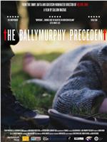 The Ballymurphy Precedent在线观看和下载