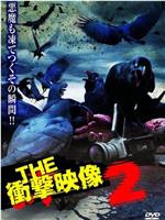 THE 冲击映像2在线观看和下载