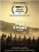 Wild Swans在线观看和下载