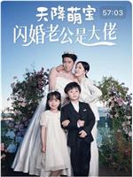 天降萌宝闪婚老公是大佬在线观看和下载