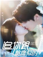 追你跟熬鹰似的在线观看和下载