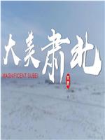 大美肃北在线观看和下载