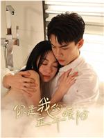 你是我的正午暖阳在线观看和下载