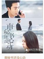 南秘书还没心动在线观看和下载