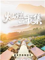 灿烂的市集在线观看和下载